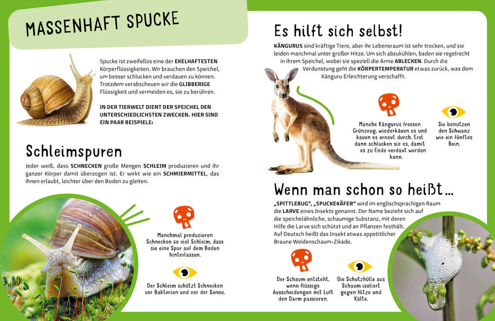 Weitere Ansicht: Die krassesten Tiere | Cristina Banfi