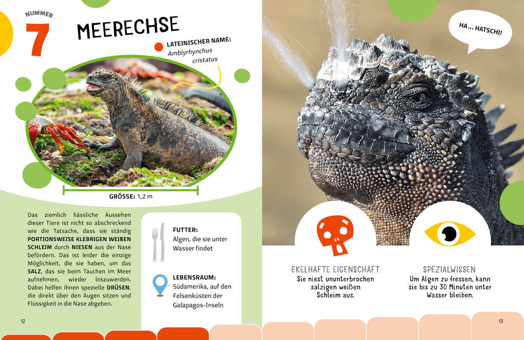 Weitere Ansicht: Die krassesten Tiere | Cristina Banfi