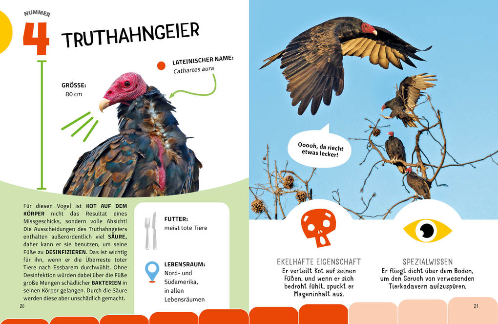 Weitere Ansicht: Die krassesten Tiere | Cristina Banfi