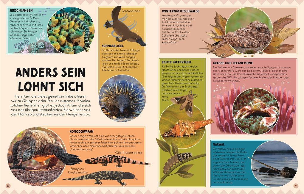 Weitere Ansicht: Seltsame Tiere, die es wirklich gibt | Ben Hoare