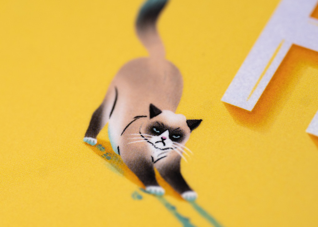 Weitere Ansicht: Today I'll Fall For Him (3) | Bianca Wege