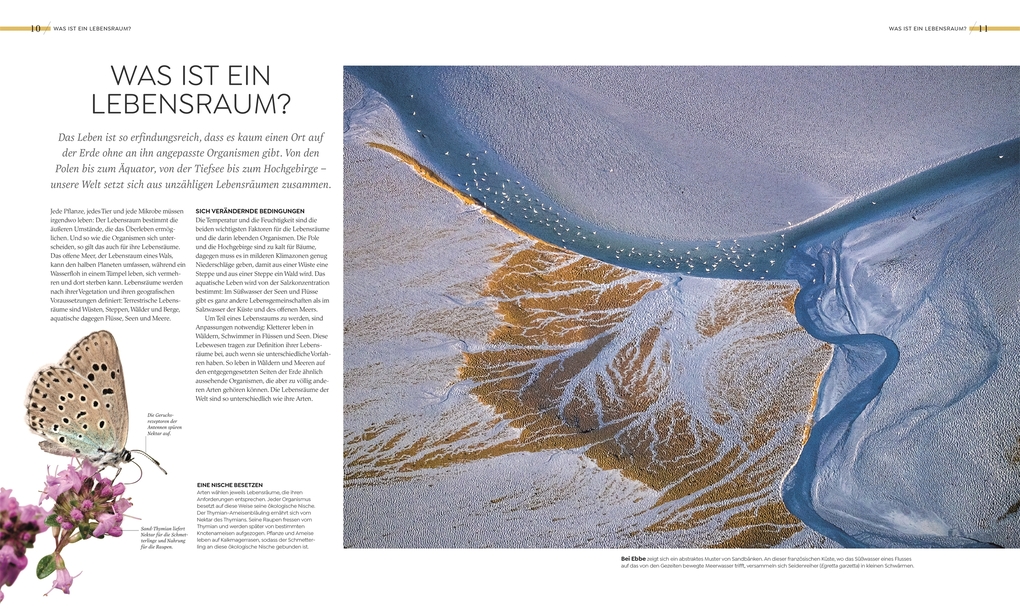 Weitere Ansicht: Wilde Welten | Claire Asher, Rebecca Green, Tom Jackson, Claudia Franca de Abreu, Derek Harvey