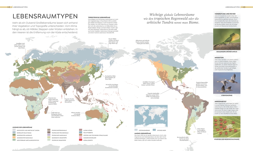 Weitere Ansicht: Wilde Welten | Claire Asher, Rebecca Green, Tom Jackson, Claudia Franca de Abreu, Derek Harvey