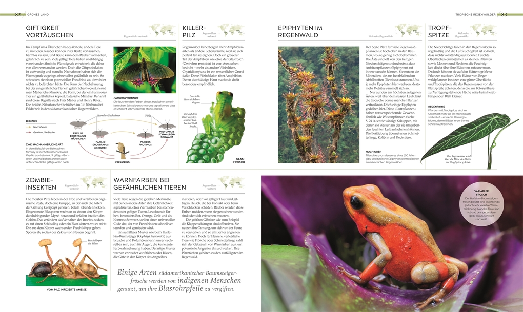 Weitere Ansicht: Wilde Welten | Claire Asher, Rebecca Green, Tom Jackson, Claudia Franca de Abreu, Derek Harvey