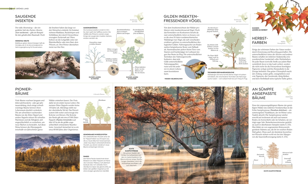 Weitere Ansicht: Wilde Welten | Claire Asher, Rebecca Green, Tom Jackson, Claudia Franca de Abreu, Derek Harvey