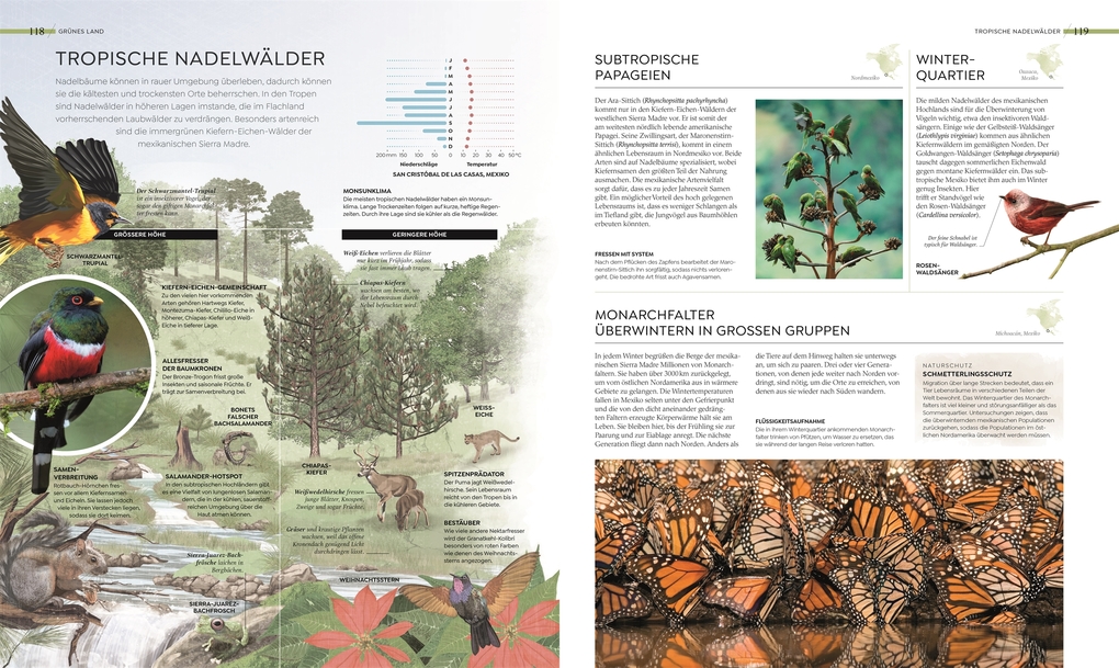 Weitere Ansicht: Wilde Welten | Claire Asher, Rebecca Green, Tom Jackson, Claudia Franca de Abreu, Derek Harvey