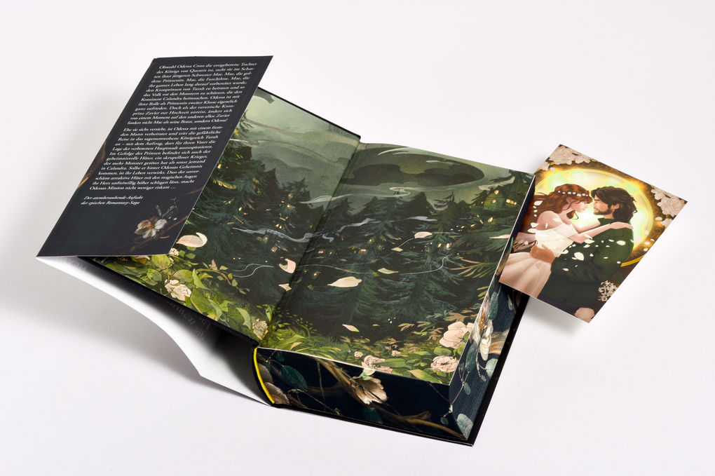 Weitere Ansicht: Shield of Sparrows | Devney Perry