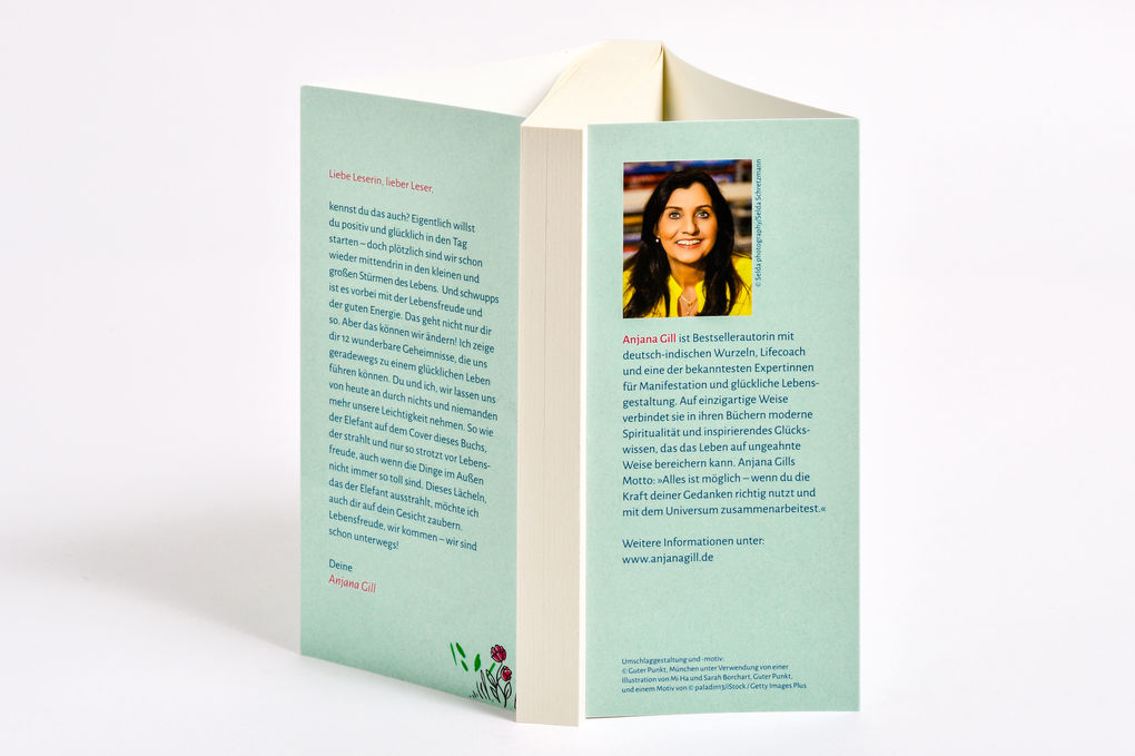 Weitere Ansicht: Die 12 Geheimnisse der Lebensfreude | Anjana Gill