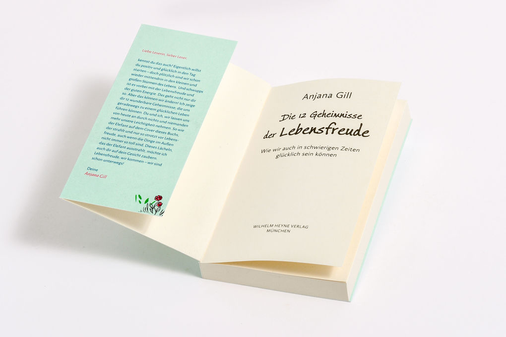 Weitere Ansicht: Die 12 Geheimnisse der Lebensfreude | Anjana Gill