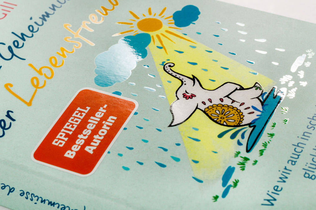 Weitere Ansicht: Die 12 Geheimnisse der Lebensfreude | Anjana Gill