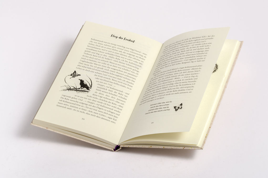 Weitere Ansicht: Schmetterlinge brauchen keine Überholspur | Ronald Schweppe, Aljoscha Long