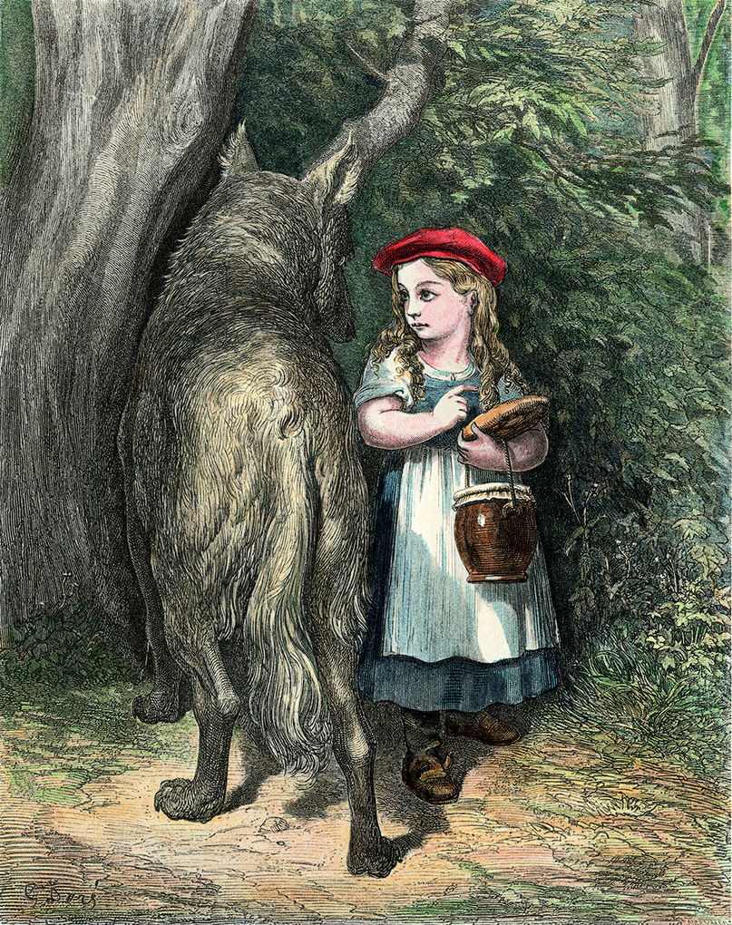 Weitere Ansicht: Bildband Wölfe - Begegnungen in freier Wildbahn: Deutschlands wilde Wölfe kehren zurück - Ein einmaliges Erlebnis von Wildnis und Natur mit 190 außergewöhnlichen Fotos | Axel Gomille