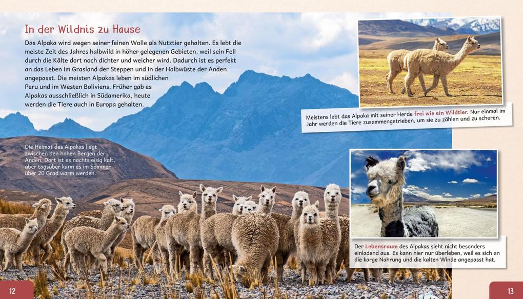 Weitere Ansicht: Meine große Tierbibliothek: Das Alpaka | Jens Poschadel