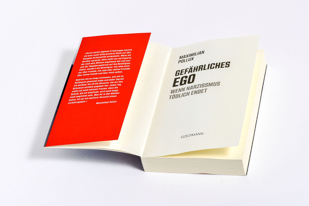 Weitere Ansicht: Gefährliches Ego | Maximilian Pollux