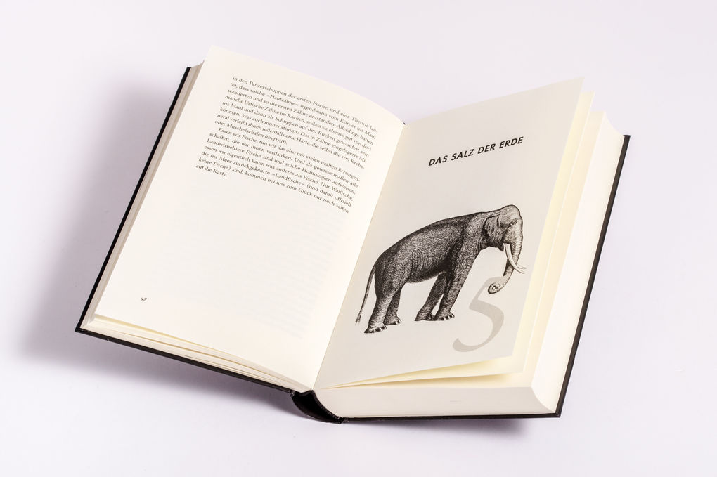 Weitere Ansicht: Der Anfang aller Köstlichkeit | Markus Bennemann