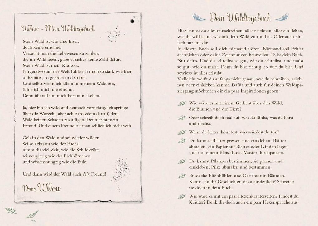 Weitere Ansicht: Ein Mädchen namens Willow: Mein Willow-Waldtagebuch | Sabine Bohlmann
