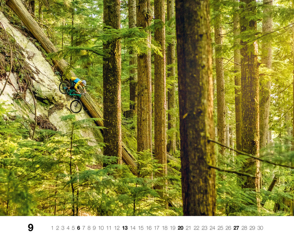 Weitere Ansicht: Freeride 2026