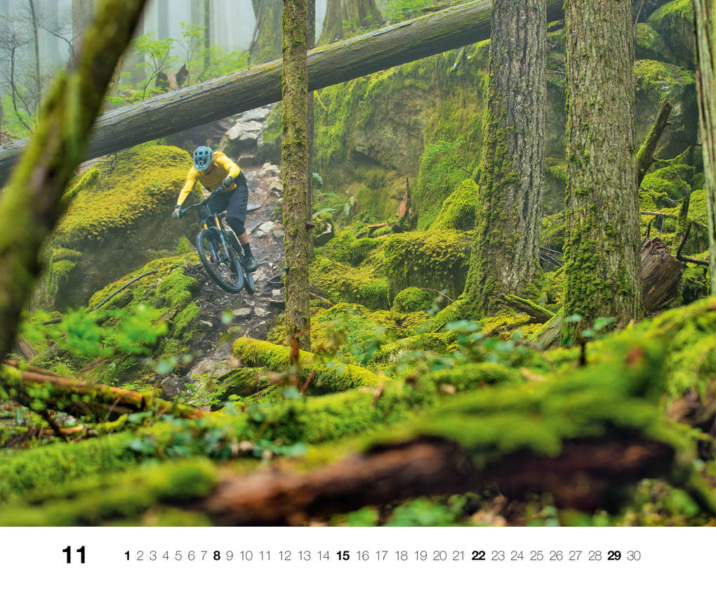 Weitere Ansicht: Freeride 2026