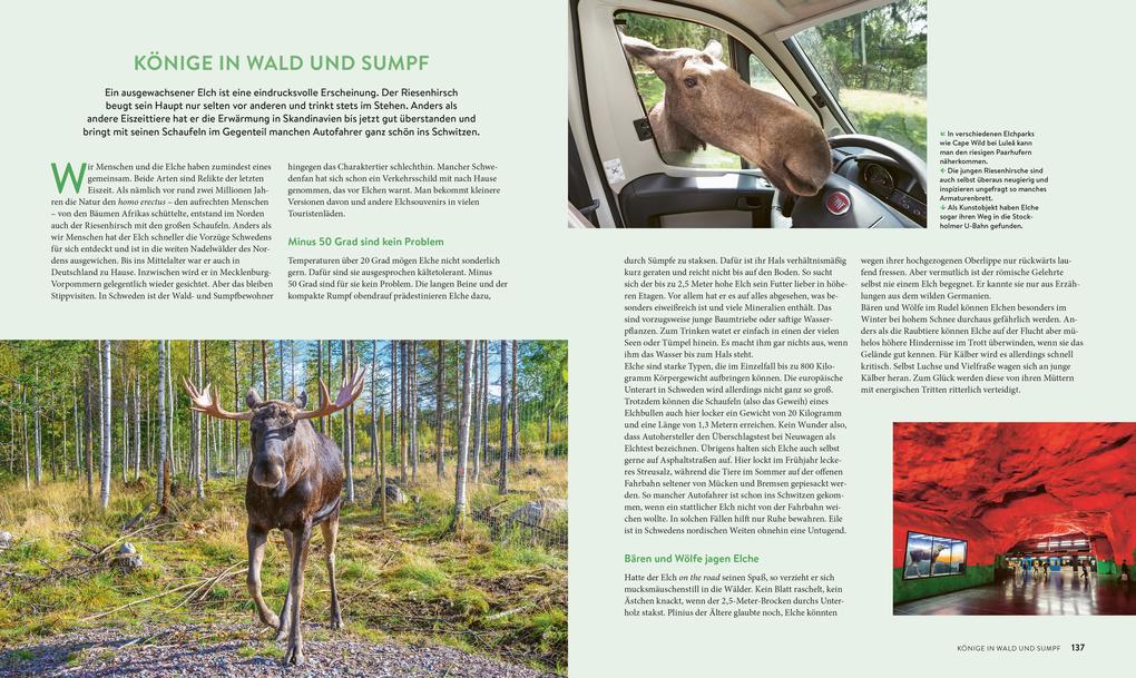 Weitere Ansicht: Roadtrips Schweden | Martin Wein
