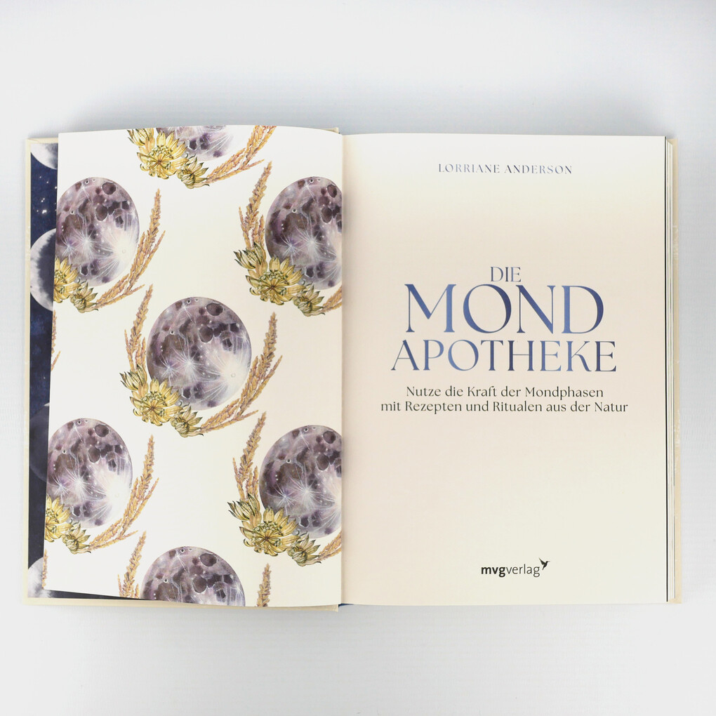 Weitere Ansicht: Die Mond-Apotheke | Lorriane Anderson