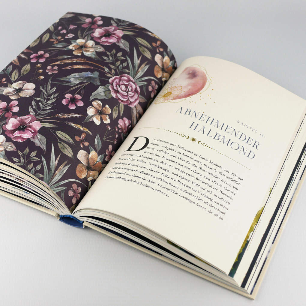 Weitere Ansicht: Die Mond-Apotheke | Lorriane Anderson