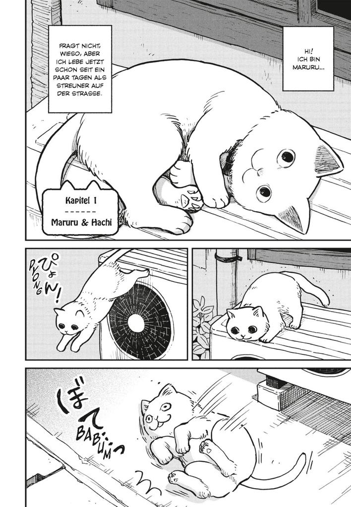Weitere Ansicht: Hachi & Maruru - Streuner halten zusammen! 1 | Yuri Sonoda