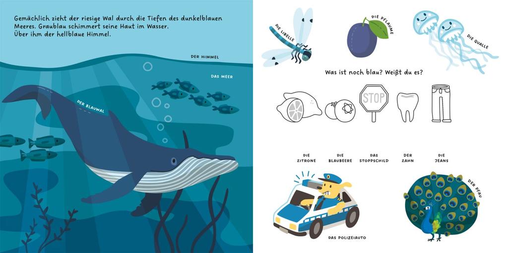 Weitere Ansicht: Kennst du die Farben?