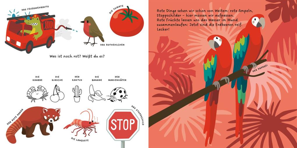 Weitere Ansicht: Kennst du die Farben?