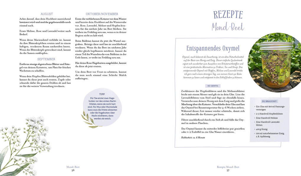 Weitere Ansicht: Die Magie der Natur: Hexenkräuter im Hochbeet | Sabine Strassmair