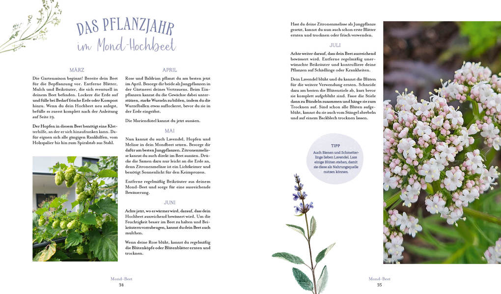 Weitere Ansicht: Die Magie der Natur: Hexenkräuter im Hochbeet | Sabine Strassmair