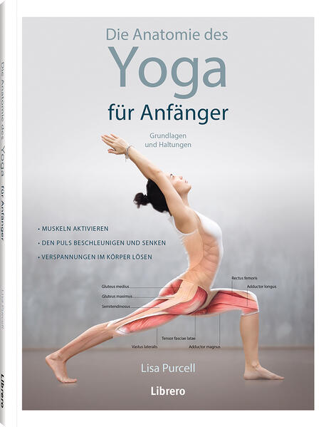 Produktbild: Die Anatomie des Yoga für Anfänger | Lisa Purcell