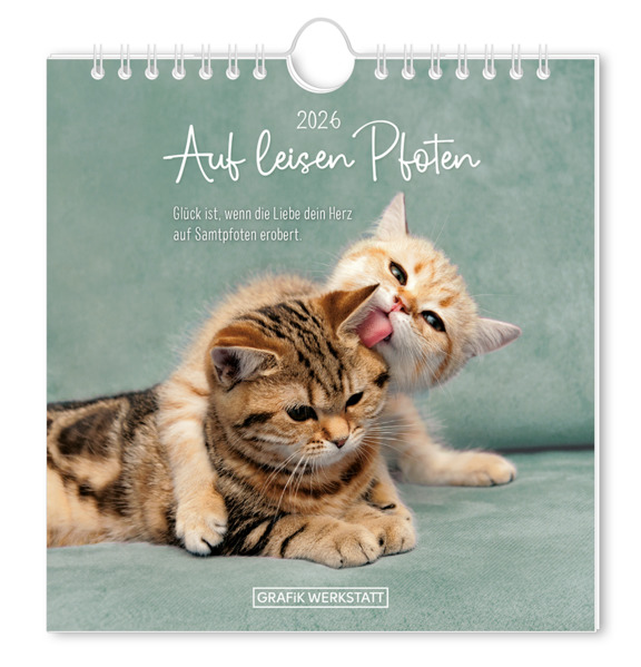 Produktbild: Postkartenkalender 2026 Auf leisen Pfoten
