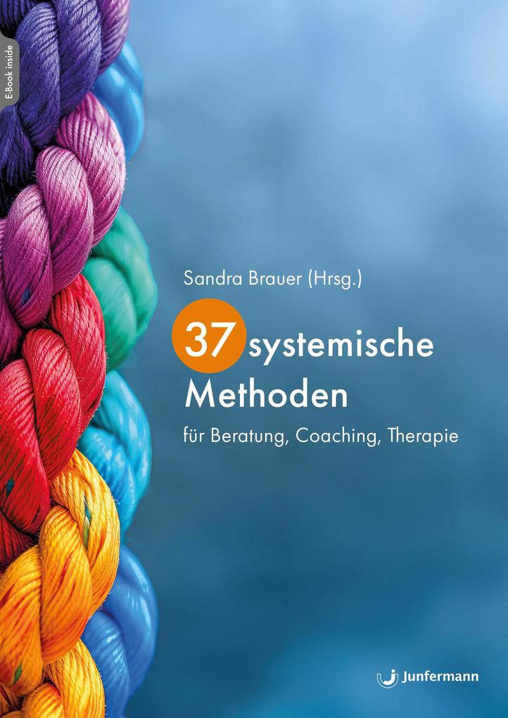 Produktbild: 37 systemische Methoden | Sandra Brauer
