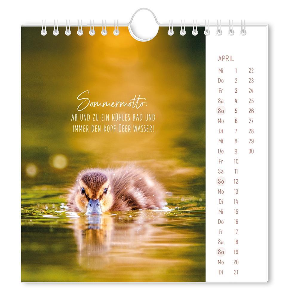 Weitere Ansicht: Postkartenkalender 2026 Lichtblicke