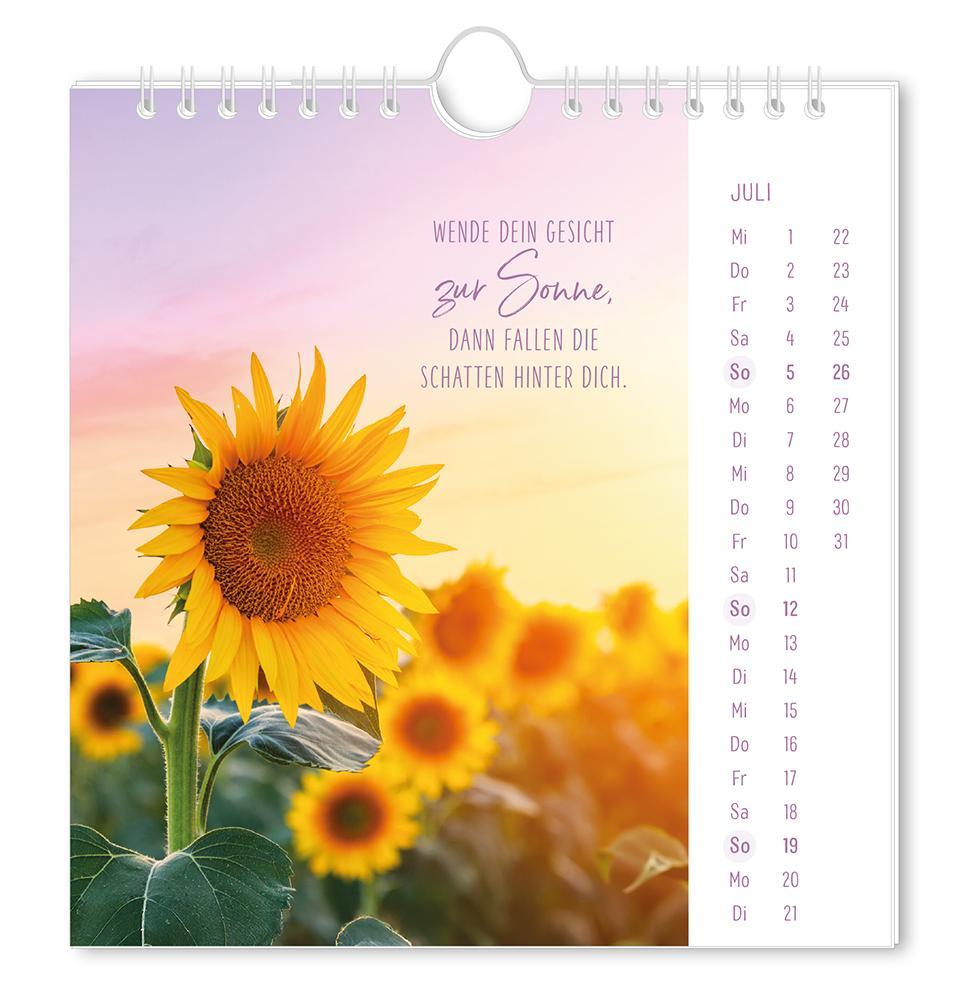 Weitere Ansicht: Postkartenkalender 2026 Lichtblicke