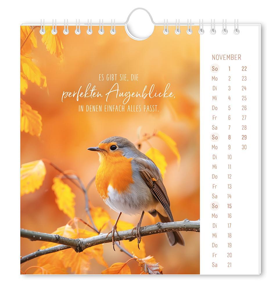 Weitere Ansicht: Postkartenkalender 2026 Lichtblicke