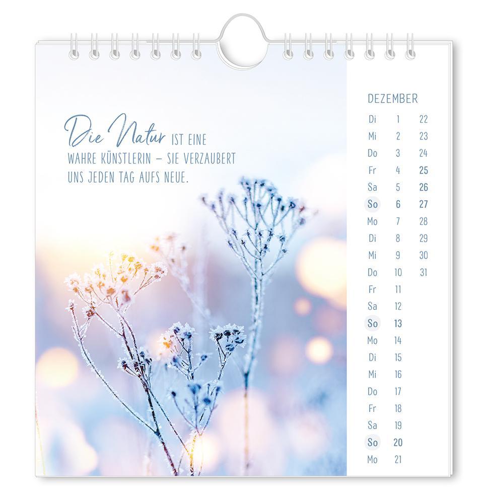 Weitere Ansicht: Postkartenkalender 2026 Lichtblicke
