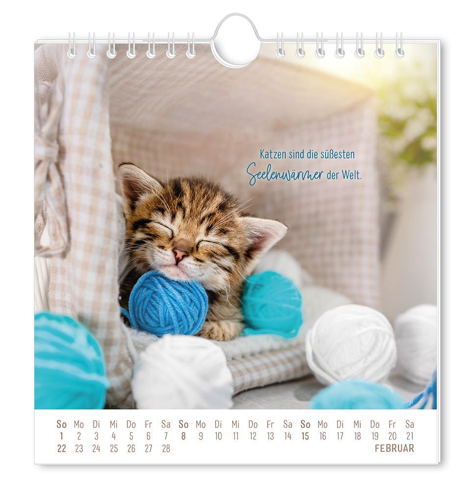 Weitere Ansicht: Postkartenkalender 2026 Auf leisen Pfoten