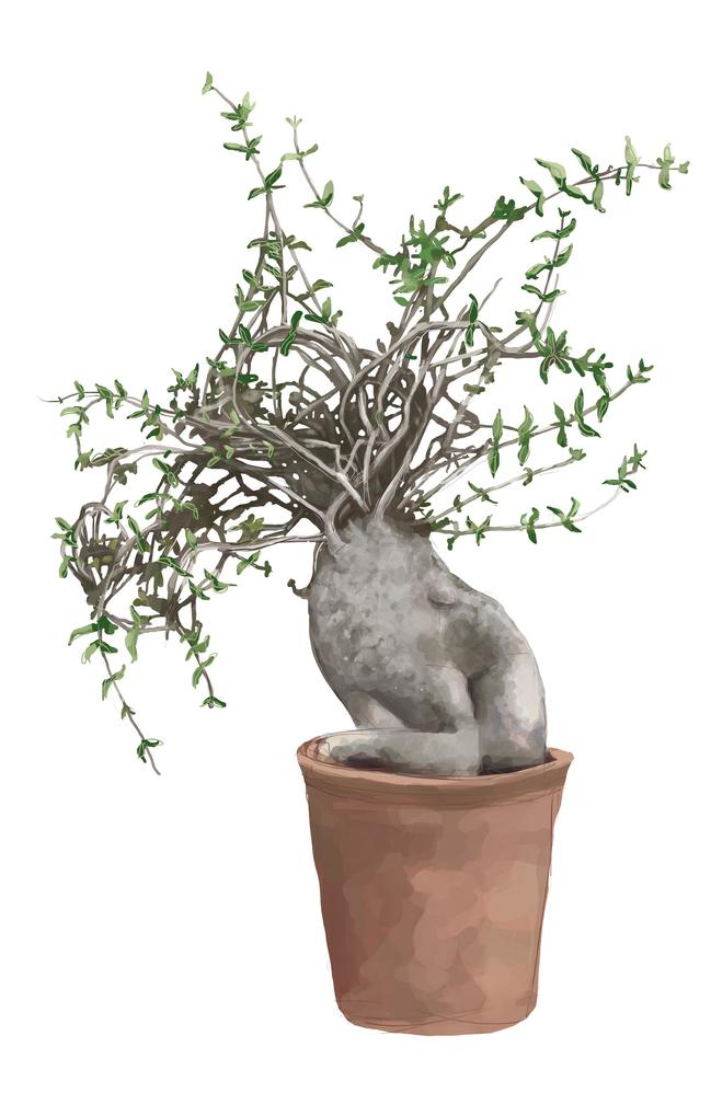 Weitere Ansicht: 50 Wiener Pflanzen und ihre Geschichte | Birgit Lahner