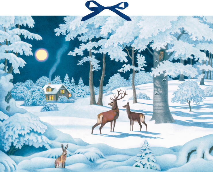 Produktbild: Wand-Adventskalender - Wintertiere bei Nacht