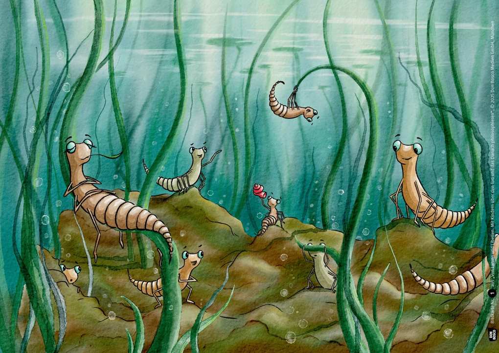 Weitere Ansicht: Von Larven und Libellen. Mit Kindern über den Tod und das Danach philosophieren. Kamishibai Bildkartenset