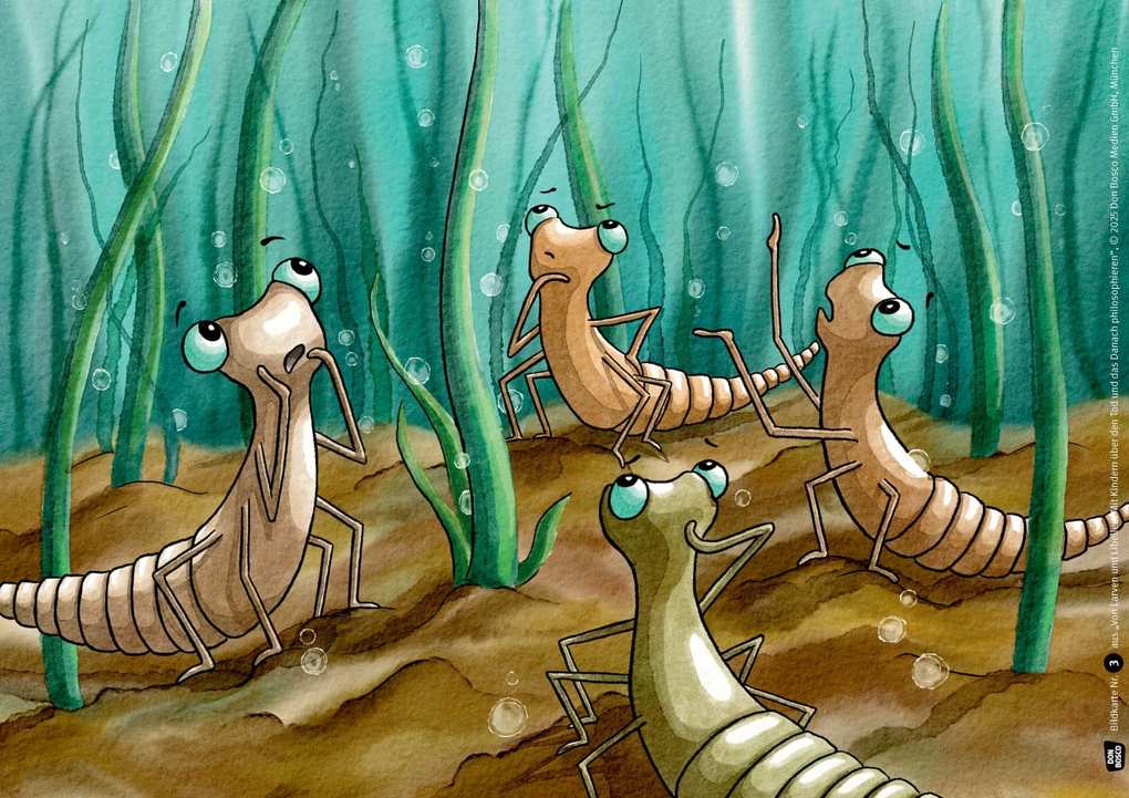 Weitere Ansicht: Von Larven und Libellen. Mit Kindern über den Tod und das Danach philosophieren. Kamishibai Bildkartenset