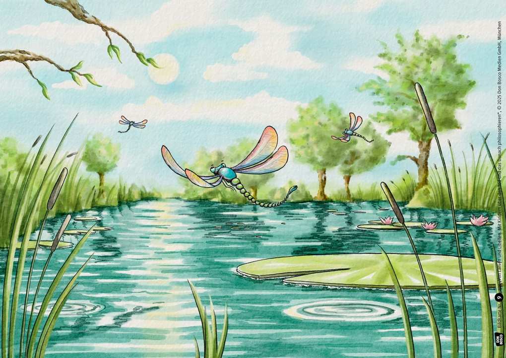 Weitere Ansicht: Von Larven und Libellen. Mit Kindern über den Tod und das Danach philosophieren. Kamishibai Bildkartenset