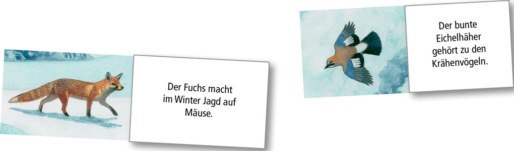 Weitere Ansicht: Wand-Adventskalender - Wintertiere bei Nacht