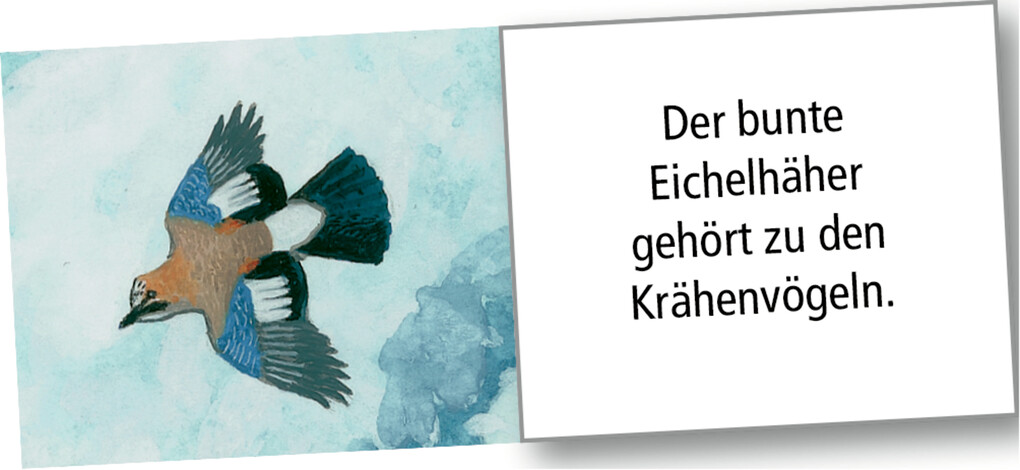 Weitere Ansicht: Wand-Adventskalender - Wintertiere bei Nacht