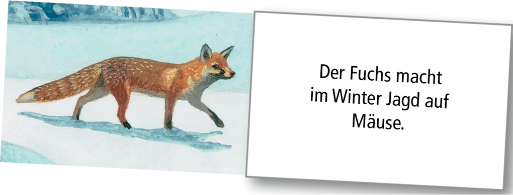 Weitere Ansicht: Wand-Adventskalender - Wintertiere bei Nacht