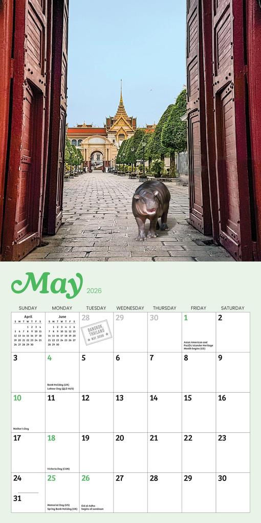 Weitere Ansicht: Tiny Hippo, Big World Mini Calendar 2026
