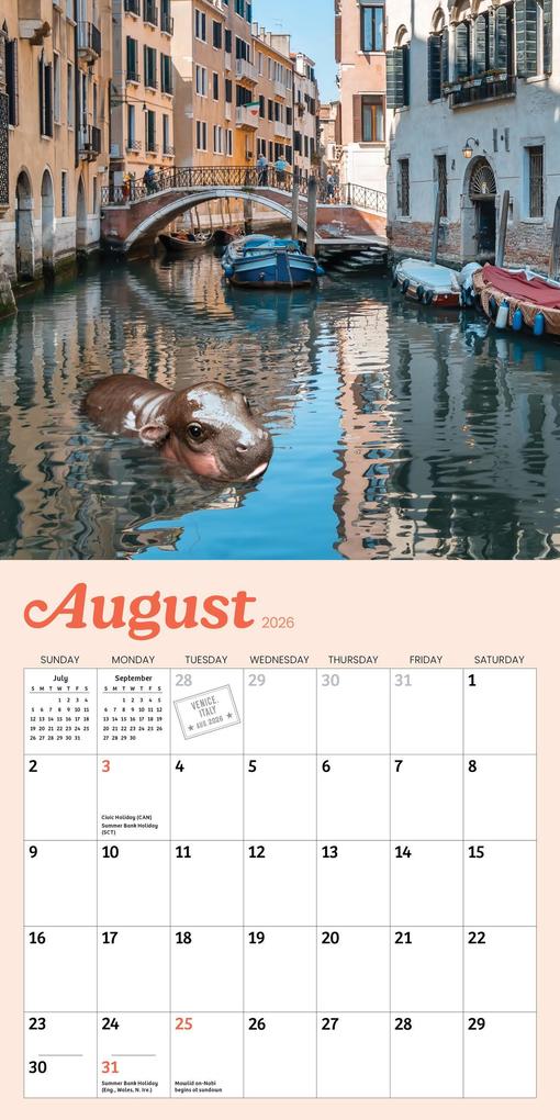 Weitere Ansicht: Tiny Hippo, Big World Mini Calendar 2026