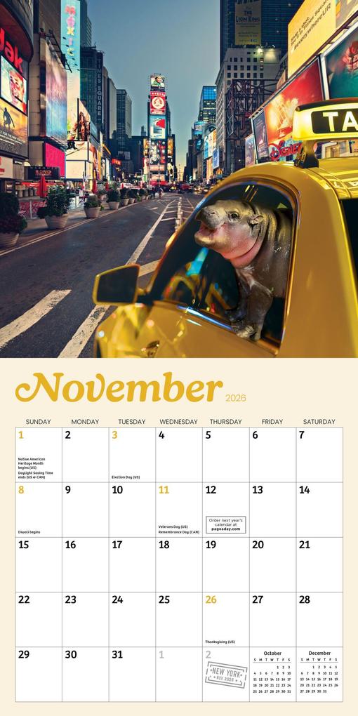 Weitere Ansicht: Tiny Hippo, Big World Mini Calendar 2026
