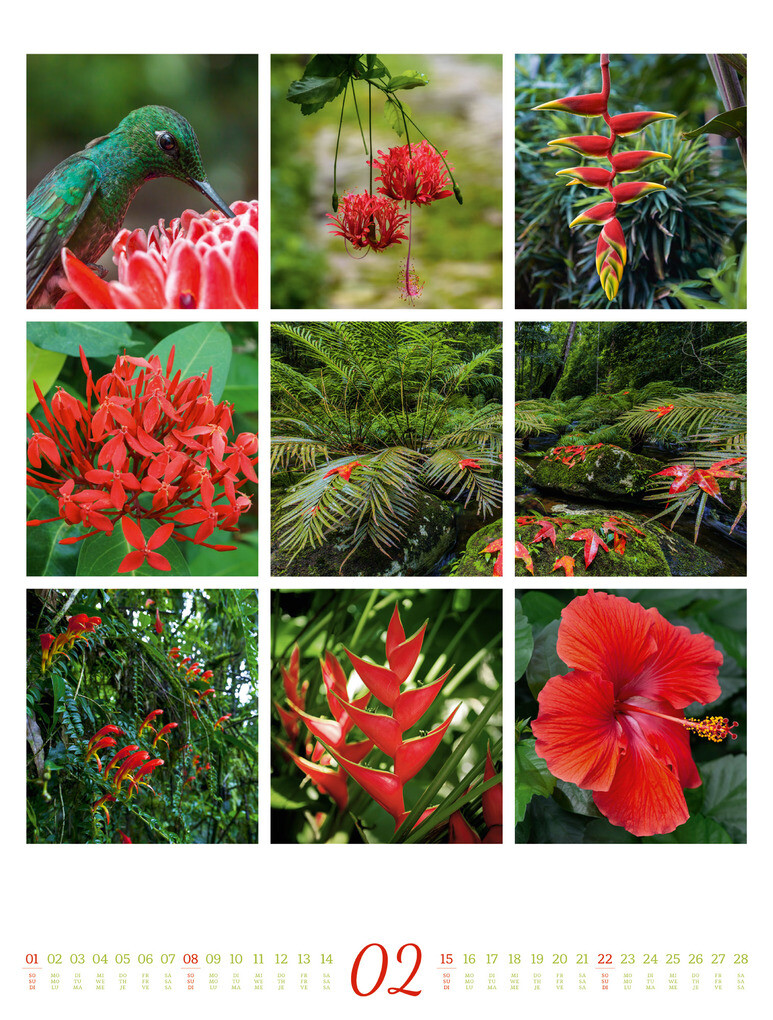 Weitere Ansicht: Inspiration Natur Kalender 2026 | Ackermann Kunstverlag GmbH